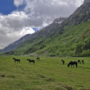 Туры выходного дня в Архызе