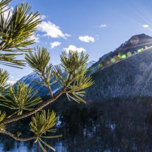 Автобусный тур в Домбай из Азова и Ростова-на-Дону